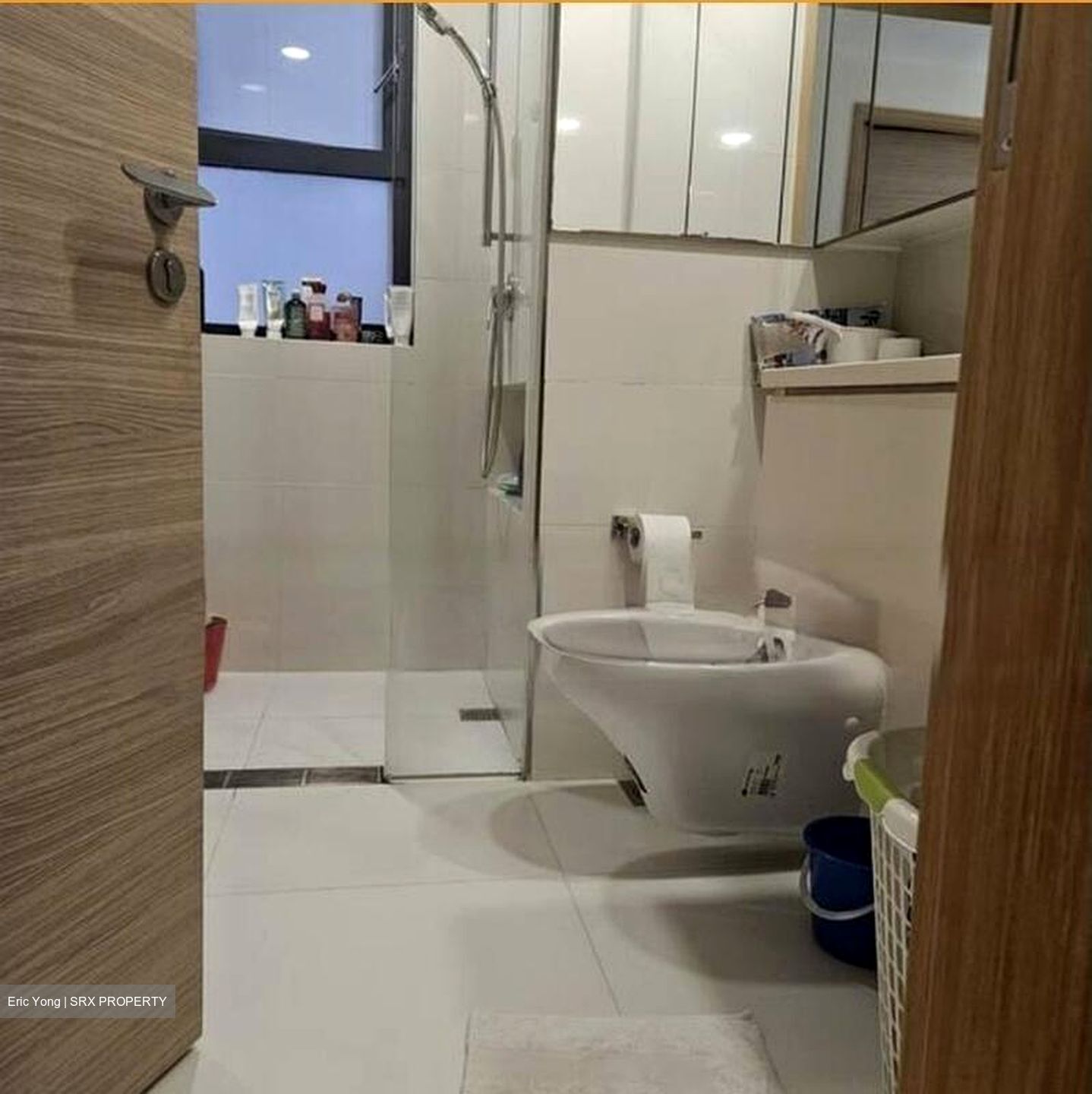 D'Leedon (D10), Condominium #525486361